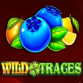 Play the Wild Traces slot by Amusnet Interactive on GramsBet Casino